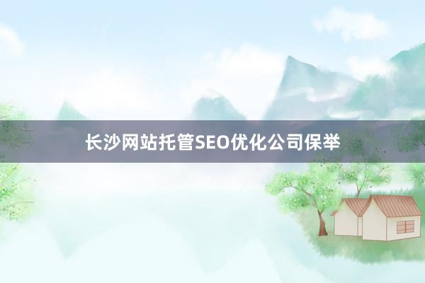 长沙网站托管SEO优化公司保举